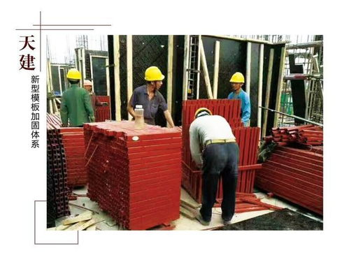河北天建新型建筑模板支撑 坚固与高效的建筑基石