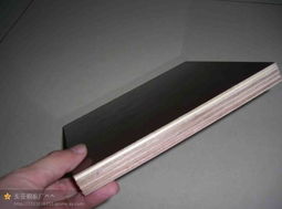 桥梁建筑模板优选 东亚武广的专业品质与可靠保障